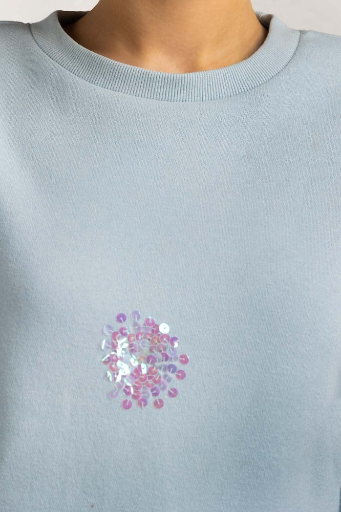 Sky Knitted Sweatshirt WM-SWS-WS23-010