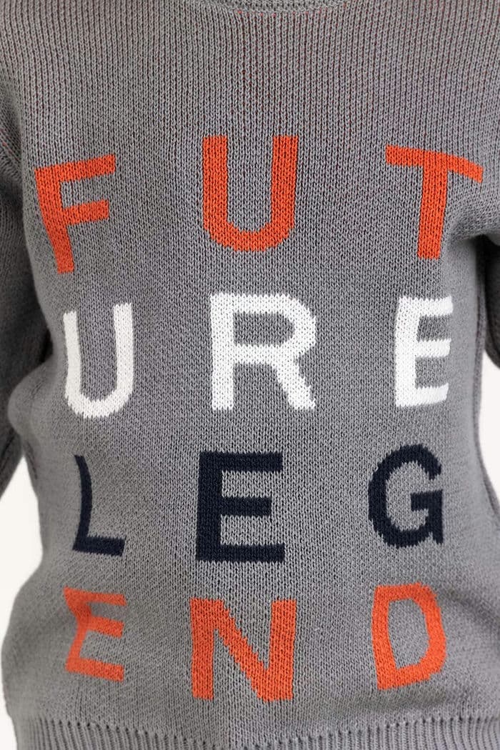 Toddler Boy Grey Knitted Sweater 224-511-043