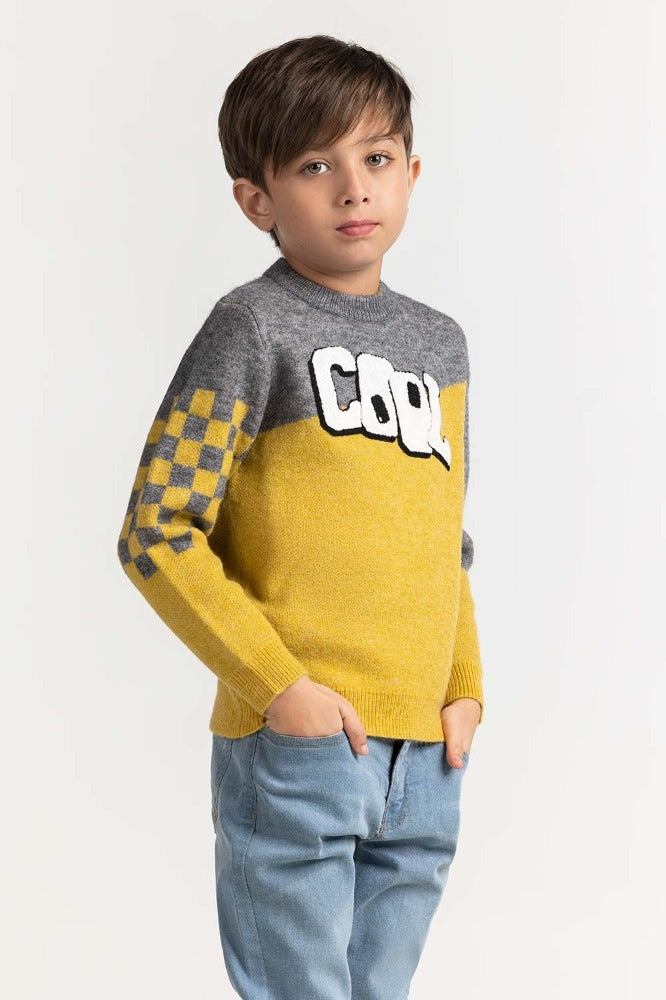 Toddler Boy Multi Basic Sweater TB-SWT-WS23-007