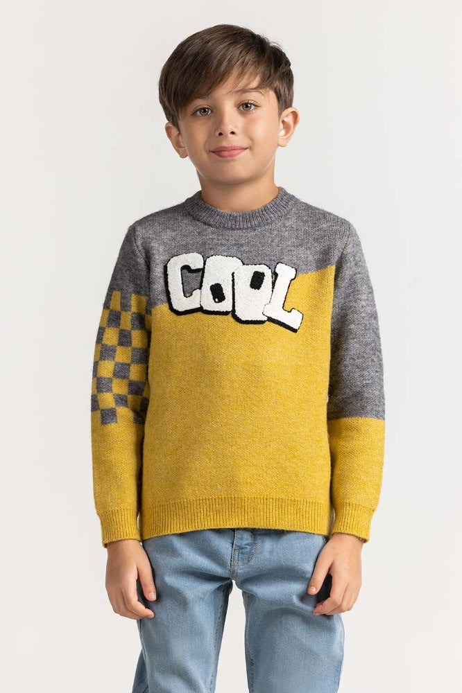 Toddler Boy Multi Basic Sweater TB-SWT-WS23-007