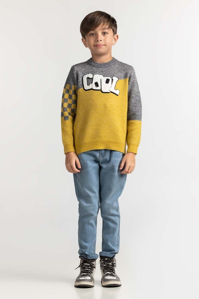 Toddler Boy Multi Basic Sweater TB-SWT-WS23-007