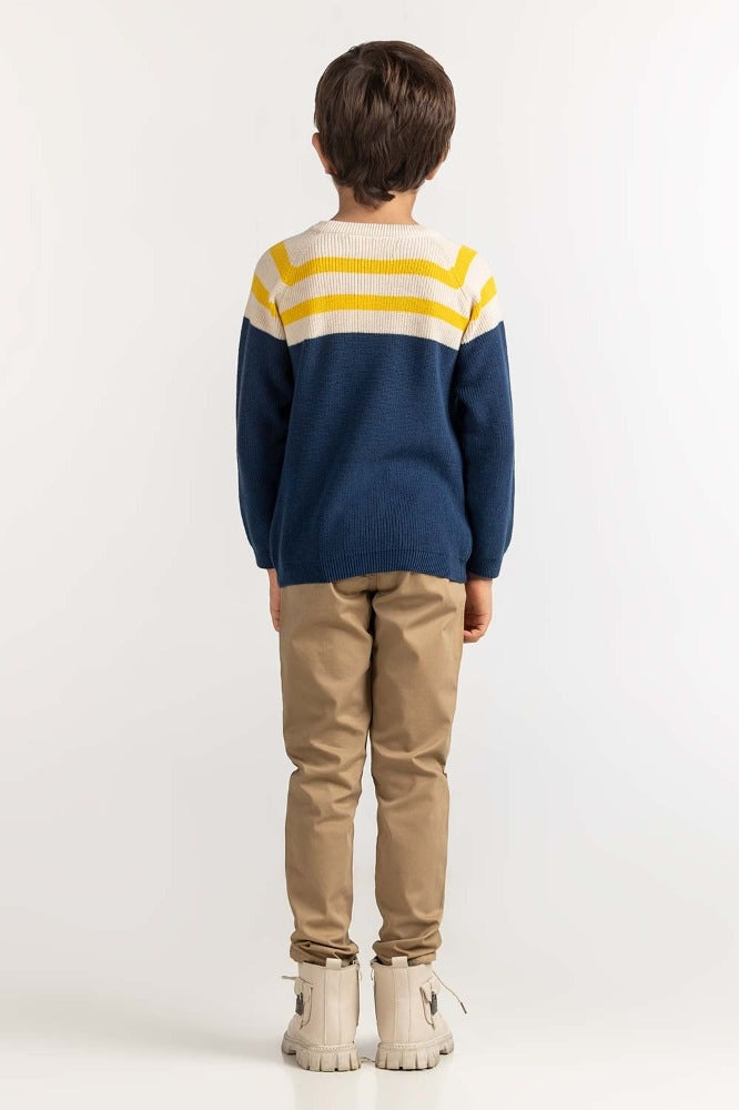 Toddler Boy Multi Basic Sweater TB-SWT-WS23-031