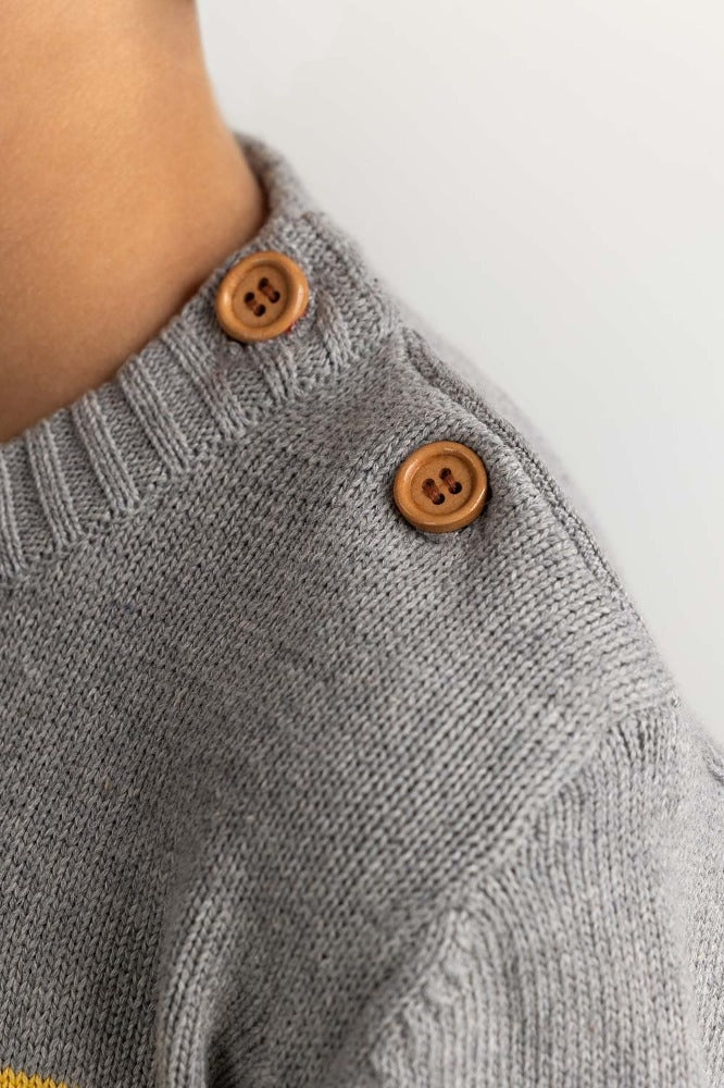 Toddler Boy Multi Basic Sweater TB-SWT-WS23-033