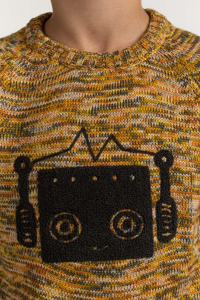 Toddler Boy Multi Basic Sweater TB-SWT-WS23-036