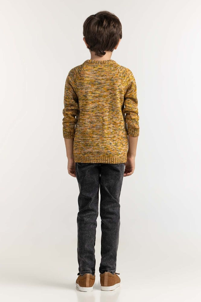 Toddler Boy Multi Basic Sweater TB-SWT-WS23-036