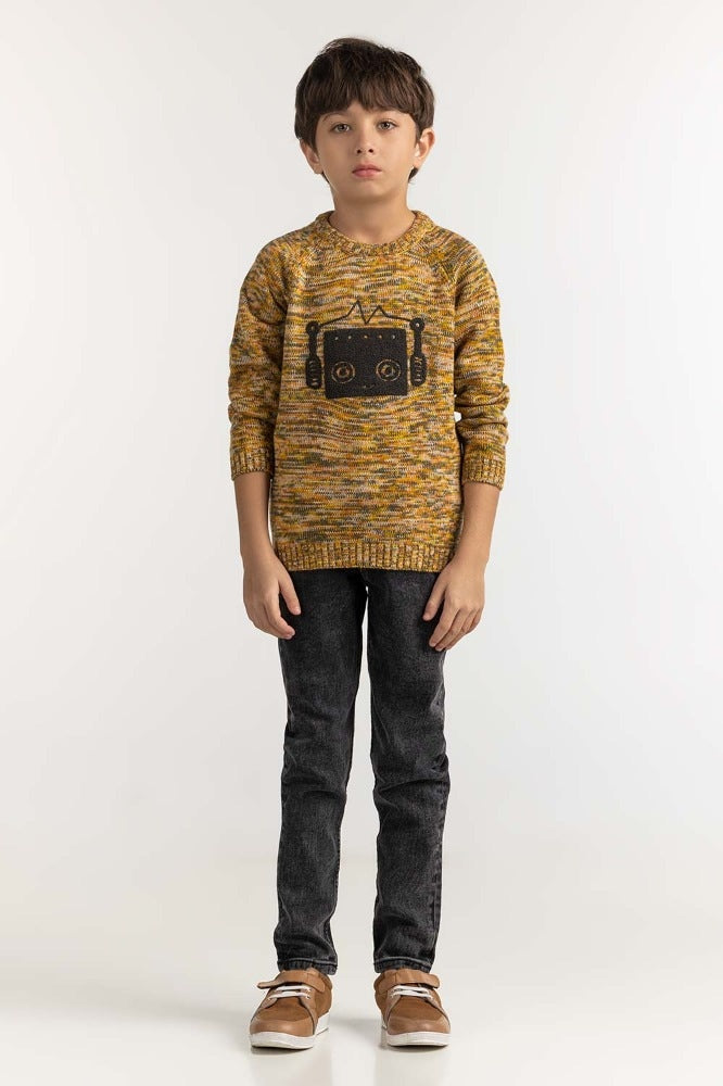 Toddler Boy Multi Basic Sweater TB-SWT-WS23-036
