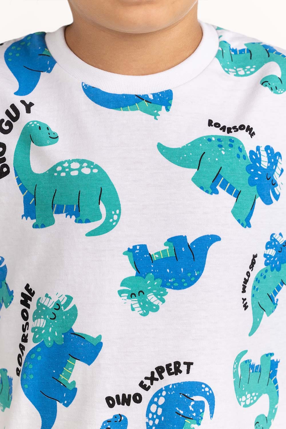 Toddler Boy White T-Shirt 231-513-013