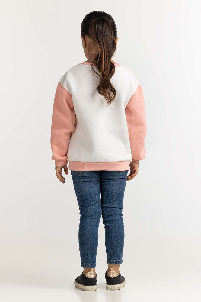 Toddler Girl Multi Basic Sweatshirt TG- SWS-WS23-001
