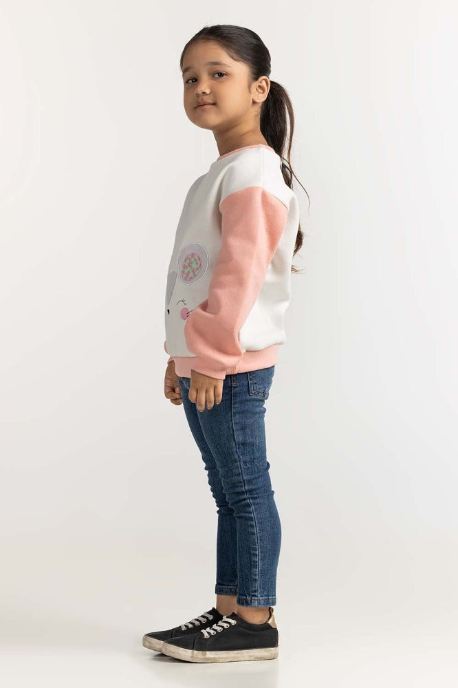 Toddler Girl Multi Basic Sweatshirt TG- SWS-WS23-001